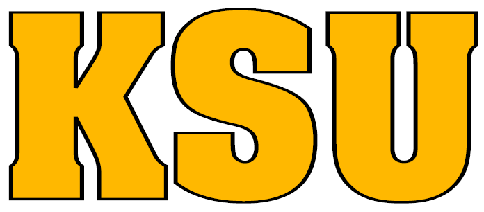 Kennesaw State Owls 0-2011 Wordmark Logo diy DTF decal sticker